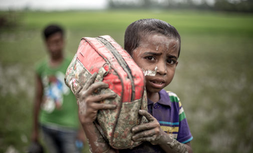 রোহিঙ্গাদের পক্ষে সাহিত্যিকদের বিবৃতি