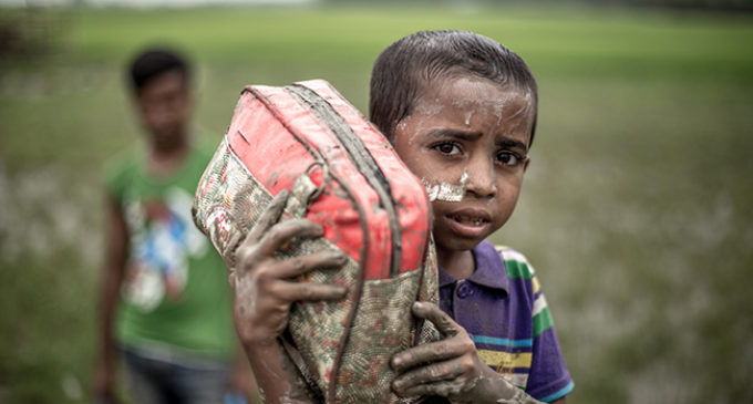 রোহিঙ্গাদের পক্ষে সাহিত্যিকদের বিবৃতি