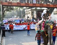 উন্নয়নশীল দেশের স্বীকৃতিতে বর্ণিল শোভাযাত্রা