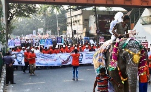 উন্নয়নশীল দেশের স্বীকৃতিতে বর্ণিল শোভাযাত্রা