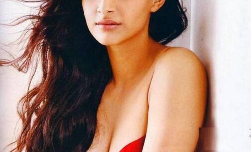 মে মাসেই বিয়ে সোনম-আনন্দের?