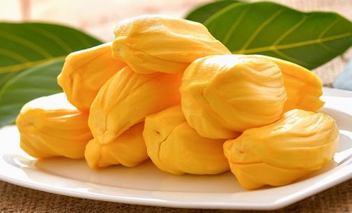 জাতীয় ফল কাঠালে গুণের নাই শেষ