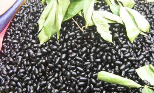 গ্রীষ্মের ফল: ক্যান্সার প্রতিরোধী কালো জাম