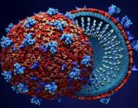 প্লাজমা থেরাপি করোনায় মৃত্যুঝুঁকি কমাতে পারে না